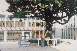 campus_music