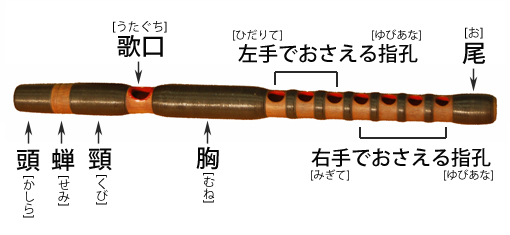 アジアの楽器図鑑