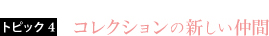 コレクションの新しい仲間