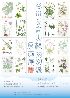 Illustrated book of Tanigawadake alpine plants