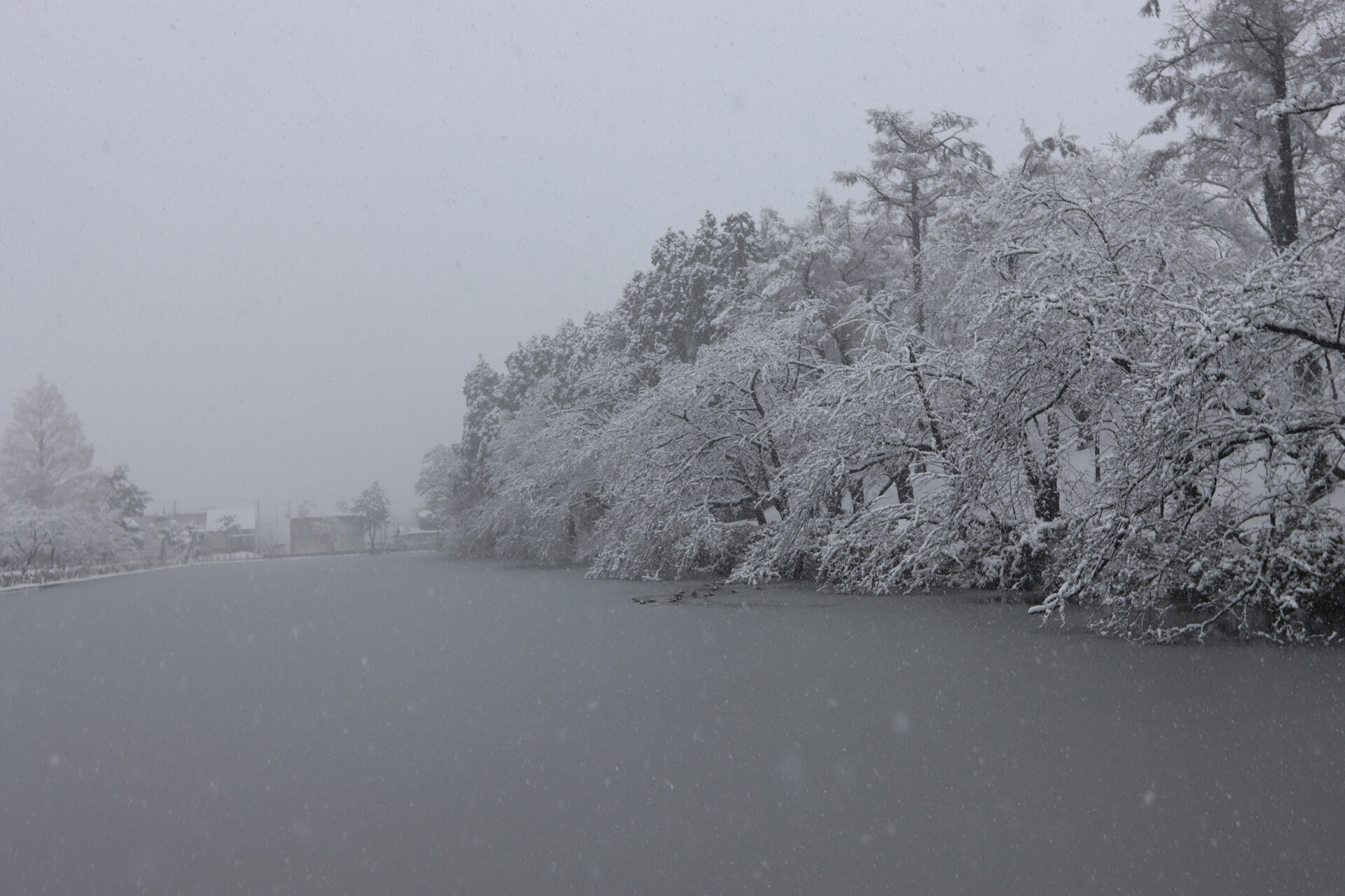 藝大リレーコラム - 第九十四回 伊藤将和「雪をかくように、生きる」