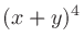 $\displaystyle (x+y)^4$